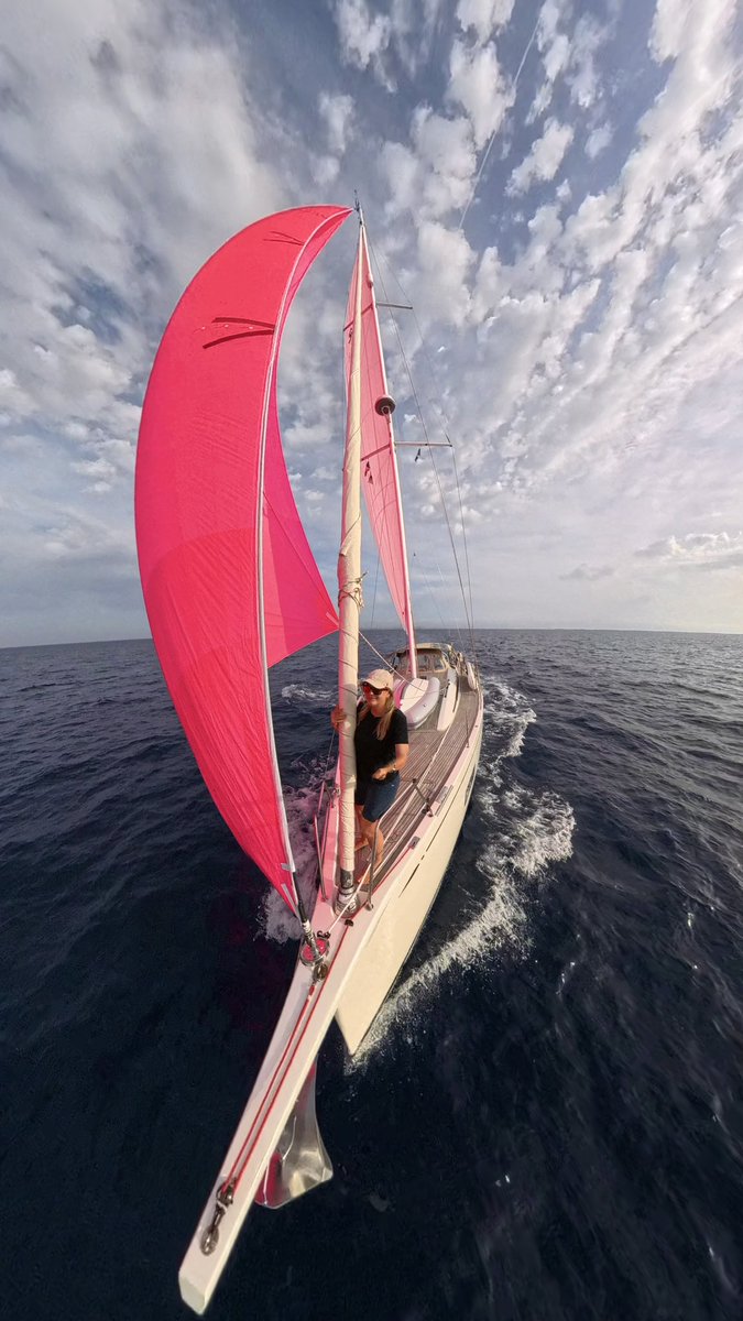 You asked, we delivered. Meet our bold pink furlstrom sail from Elvstrom Sails!