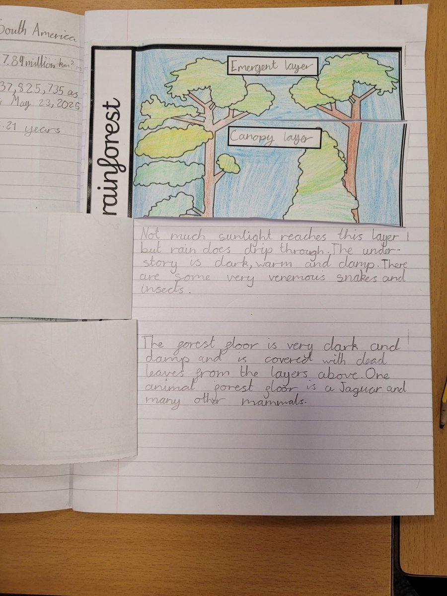 Miss Linklater (@misslinklater) on Twitter photo Exploring the layers of the rainforest. A beautiful introduction, progressing our topic into comparing the lifestyle and farming of the UK and Brazil. π¬π§ π§π· βοΈ π§ π³
<a href="/BoothferryPS/">Boothferry Primary #weareBoothferry</a> <a href="/MissRamskill/">Miss Ramskill</a> <a href="/ChipperfieldYr4/">Miss Chipperfield</a> Exploring the layers of the rainforest. A beautiful introduction, progressing our topic into comparing the lifestyle and farming of the UK and Brazil. π¬π§ π§π· βοΈ π§ π³
<a href="/BoothferryPS/">Boothferry Primary #weareBoothferry</a> <a href="/MissRamskill/">Miss Ramskill</a> <a href="/ChipperfieldYr4/">Miss Chipperfield</a>