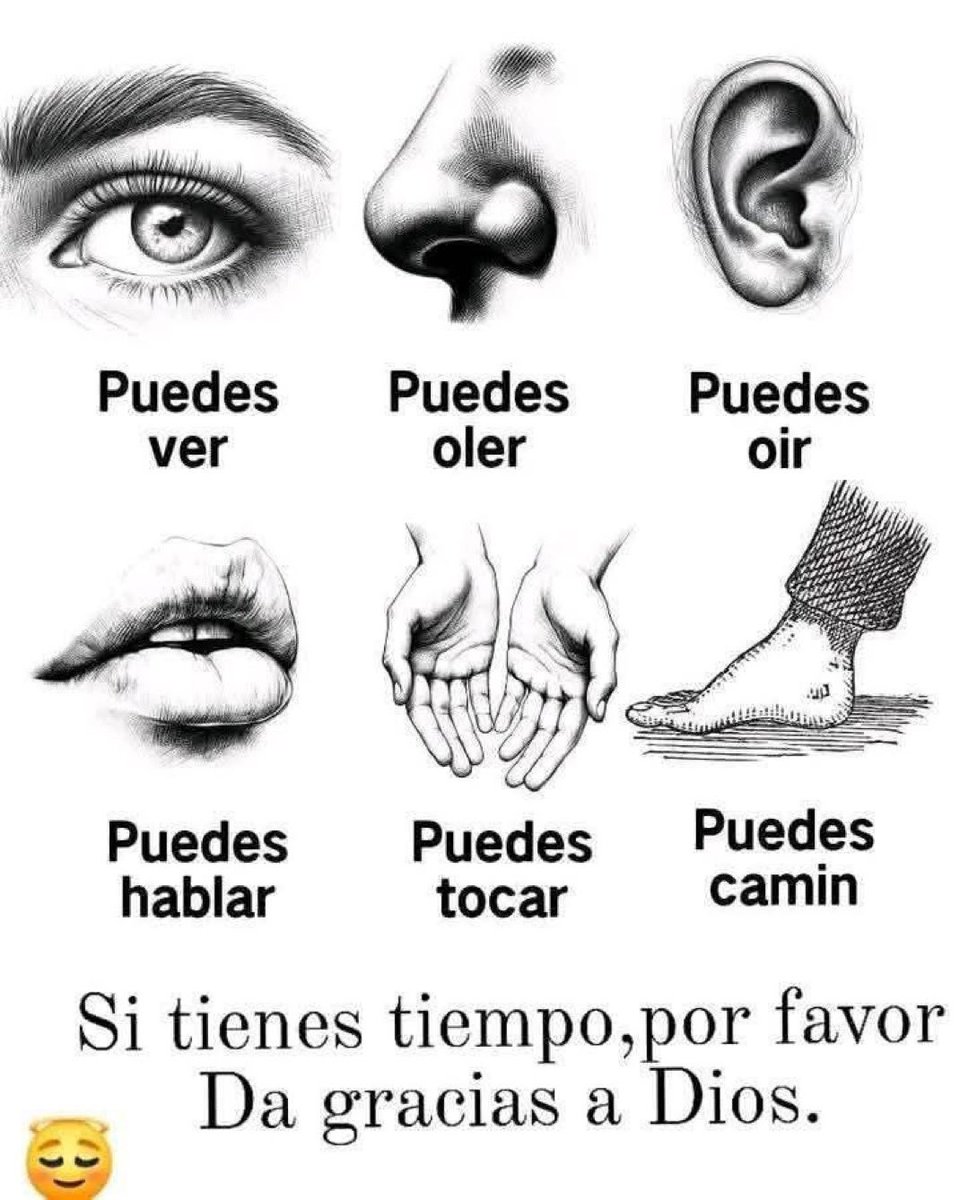 faustinodelgado's tweet photo. PADRE BUENO, gracias por este nuevo día que Tú me regalas  y gracias por una nueva oportunidad.

Te pido que cuides siempre de mí, de mi familia, que nos bendigas, nos protejas y nos concedas un día de salud, triunfos, milagros y prosperidad, en CRISTO JESÚS AMÉN Y AMÉN!! https://t.co/Z57sCU2Lwv