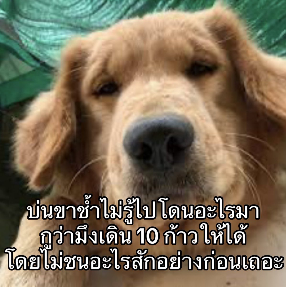 ชนโต๊ะกระแทกตู้ตกเตียงชนบันได เห็นเดินชนทุกอย่างที่ขวางหน้า แล้วบ่นรอยช้ำมาจากไหน