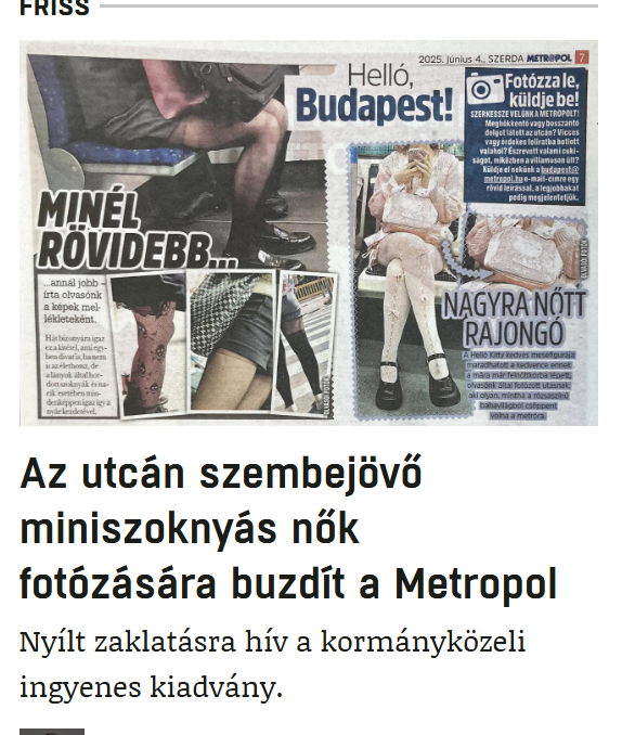 Noéla 🐾 🇭🇺 🥀👽😇 tweet media