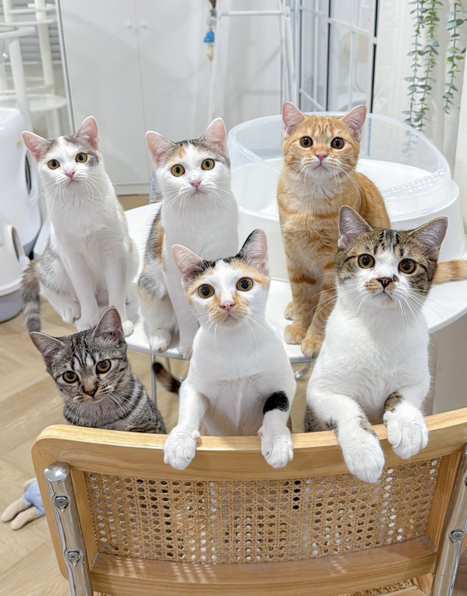 ไอเด็กพวกนี้มันเคยอยู่ในพุงยัยมิยินจริงเหยอออ