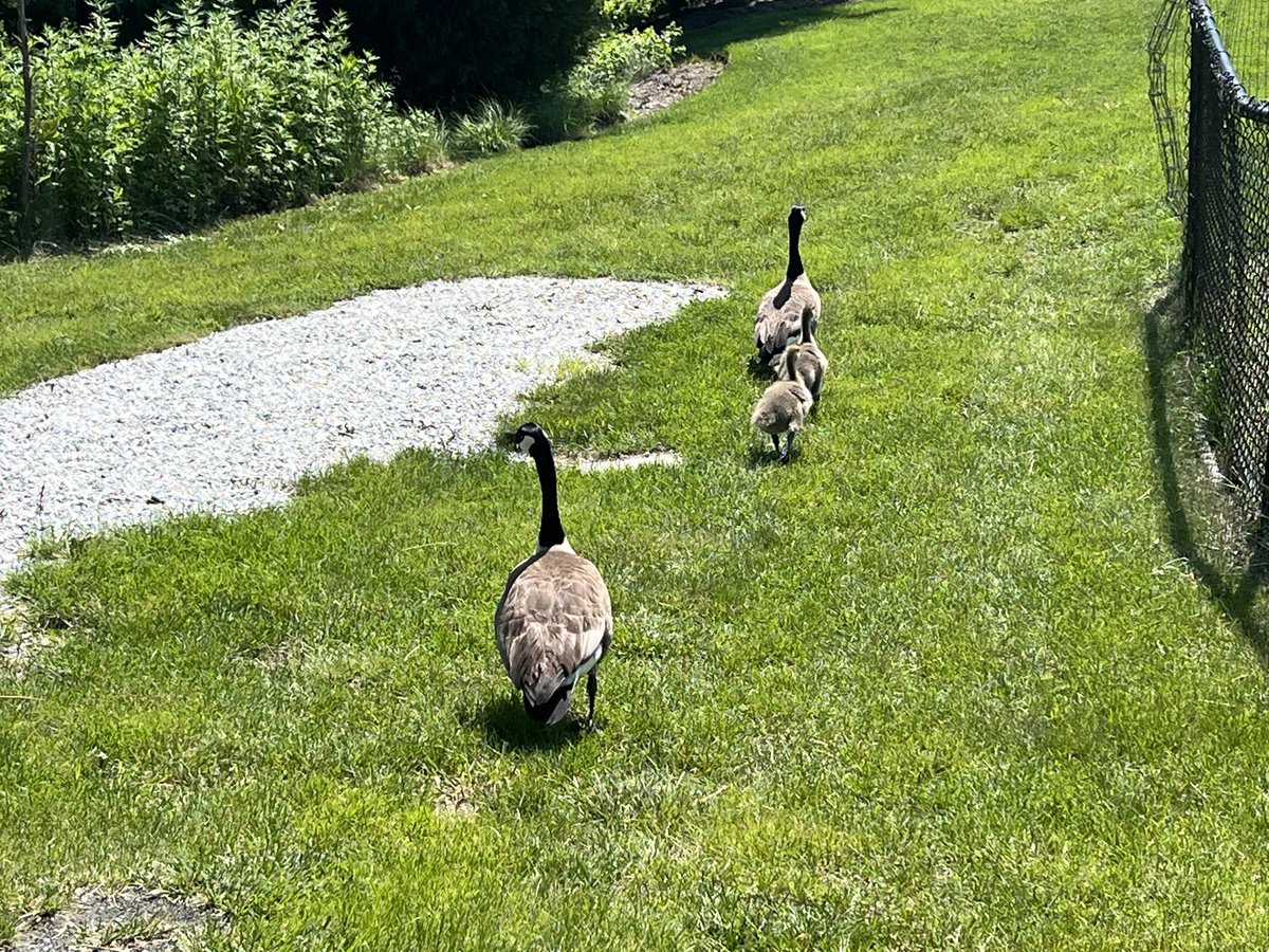 동영상 찍을걸
궁둥이4개🥹