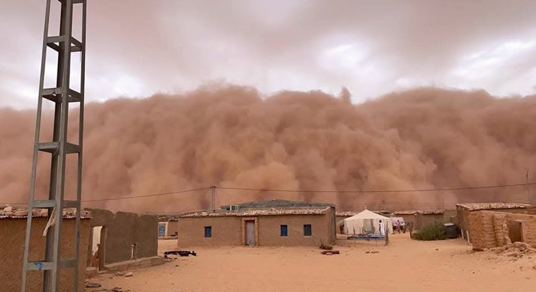 Bon Dia i SÀHARA LLIURE!
✌🏾🇪🇭 ✌🏾🇪🇭 ✌🏾🇪🇭
<a href="/sanchezcastejon/">Pedro Sánchez</a> 
<a href="/Yolanda_Diaz_/">Yolanda Díaz</a>
#ElSàharaNoEsVen
#ElSàharaOccidentalNoÉsMarroc
Mai ho ha sigut i mai ho serà!!!
#FreePalestine 
#FreeGazaFromIsrael