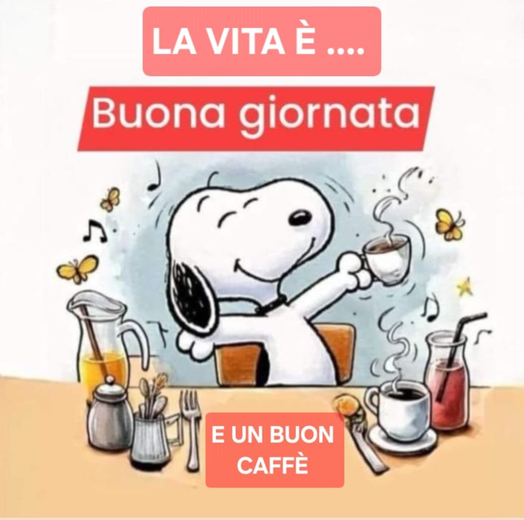 markovema's tweet photo. Buongiorno
 #sorridi #smiles #like #liker #likers #liketime #likeforlikeback #like4likes #likeforfollower #likeperlike #scambiolike #follow4follow #followforfollow #aforismi #buongiorno #snoopy #mercoledì #x #Twitter https://t.co/Wb9b1qpcRg