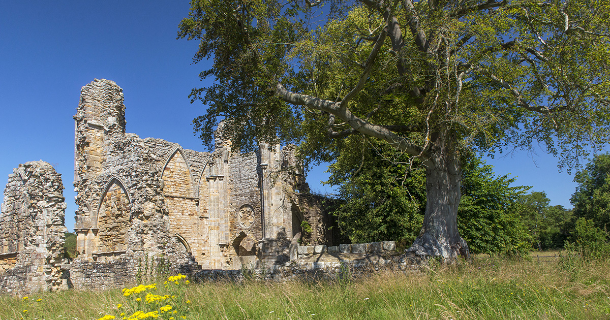 #OnThisDay 500 years ago, 100 men rioted against the closure of Bayham Abbey in #Kent. Now, English Heritage wants to trace the descendants of the rioters. If you've traced your family tree back to the 16th century, could it be you?

whodoyouthinkyouaremagazine.com/news/bayham-ab…