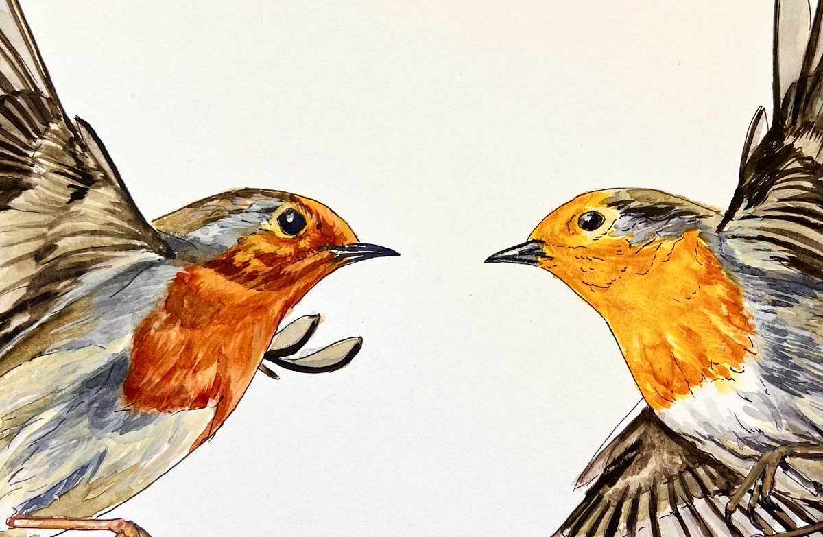 Werk gemaakt. Het zijn twee roodborstjes. 

‘Bij het treffen verdween alles’
Inkt en aquarel op papier
22,9 x 30,5 cm

Retweet is lief.