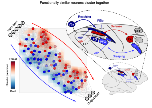 Iannetti Lab tweet media