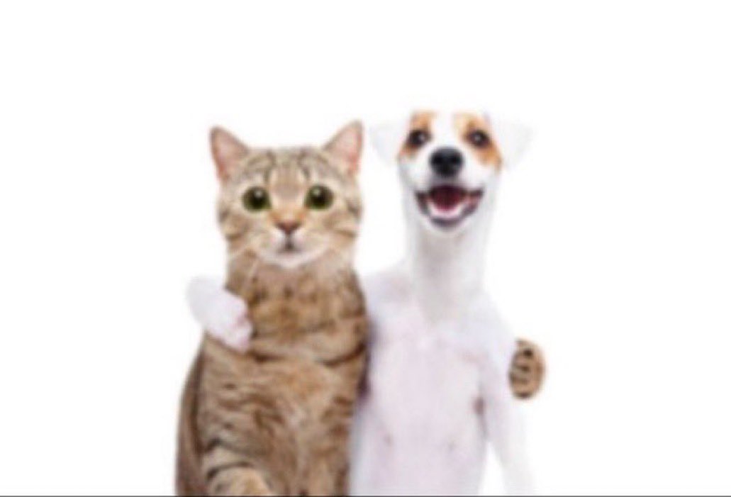 ManuMuozPolanc1's tweet image. Ahora si, oficialmente puedo oler hasta los colores