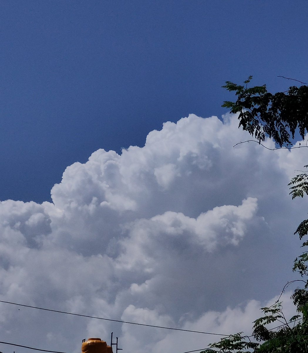 Congestus development towards Northern horizon..
Isolated thundershowers possibilities exist today as well over NTN/SAP..
#Chennai #ChennaiRains #Monsoon #Monsoon2025 #thunderstorms #TNRains #TamilNadu #Update
