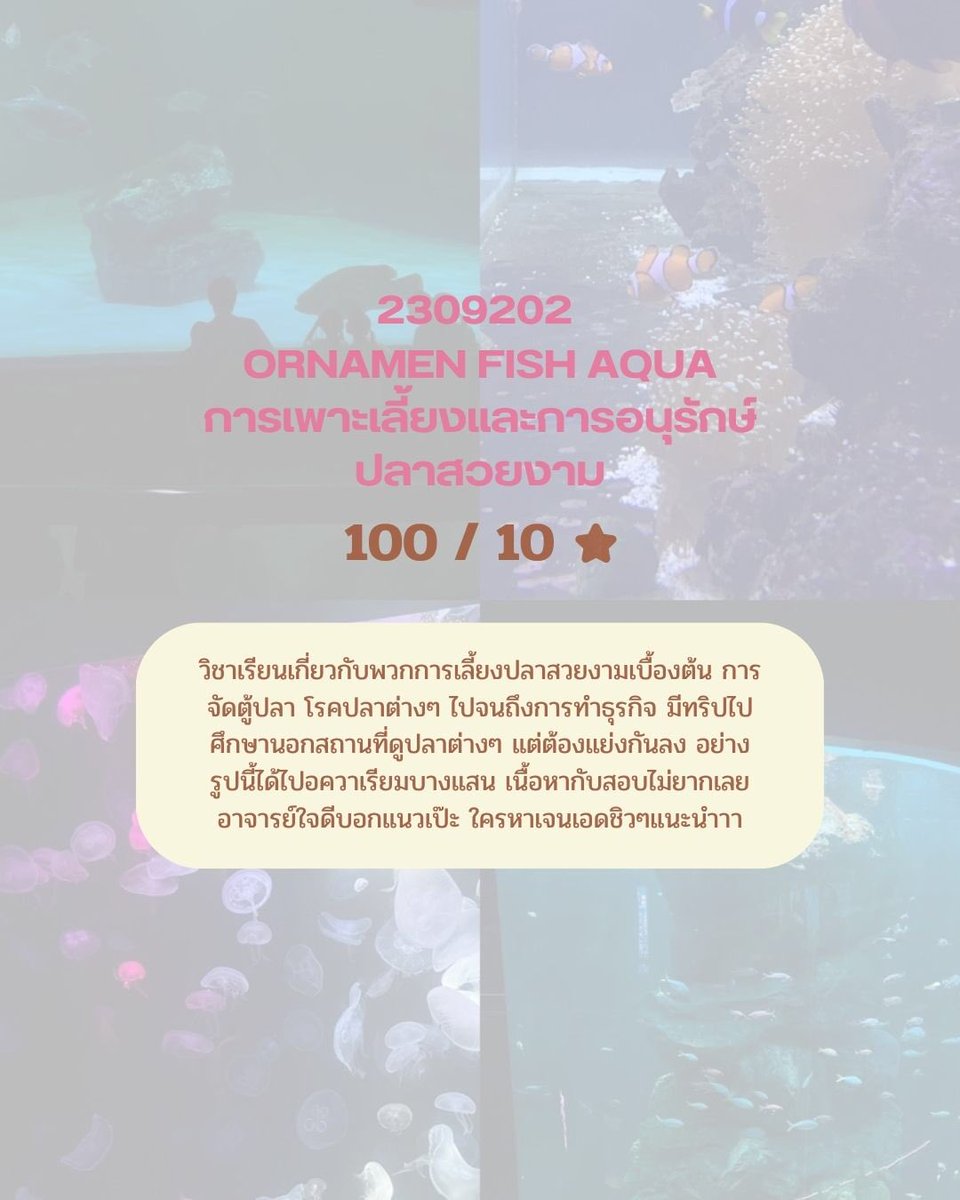 charmjulie_ac's tweet photo. สิ่งที่เด็กจุฬาต้องแลก ‘วิชา GenEd‘ 💥❕

‘วิชาศึกษาทั่วไป (gened)’คือวิชาเลือกที่ทางจุฬามุ่งหวังให้นิสิตมีความรู้ในด้านอื่น ๆ เพิ่มโดยทุกคนต้องเรียนให้ครบตามกำหนด

วันนี้พวกเรารวมวิชาน่าเรียนพร้อมรีวิวมาให้แล้ว กดเซฟไว้ได้เลยยย

#dek68 #cu109 #chulafreshy #cufirstdate2025 #chula https://t.co/xUXWoQmJiV
