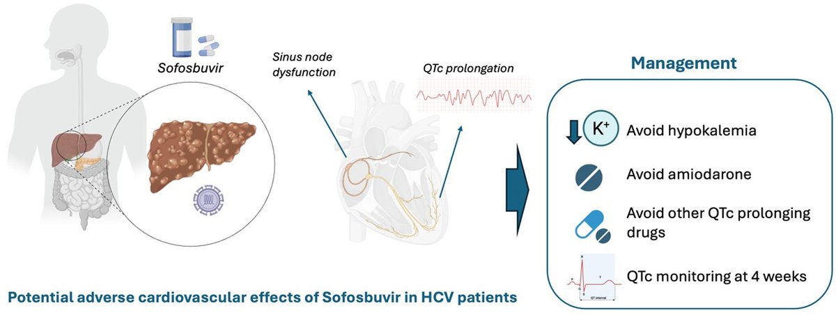 REC Publications (@revespcardiol) on Twitter photo Sofosbuvir and QT interval: A new chapter in the safety profile of direct-acting antivirals #reccardioclinics #Aheadofprint <a href="/CarlosMinguito/">Carlos Minguito</a> <a href="/MoisesManero/">Moises Rodriguez Mañero</a> reccardioclinics.org/es-sofosbuvir-… Sofosbuvir and QT interval: A new chapter in the safety profile of direct-acting antivirals #reccardioclinics #Aheadofprint <a href="/CarlosMinguito/">Carlos Minguito</a> <a href="/MoisesManero/">Moises Rodriguez Mañero</a> reccardioclinics.org/es-sofosbuvir-…