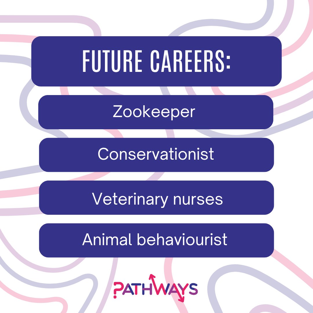 Where could an HNC/HND in Animal Management take you?