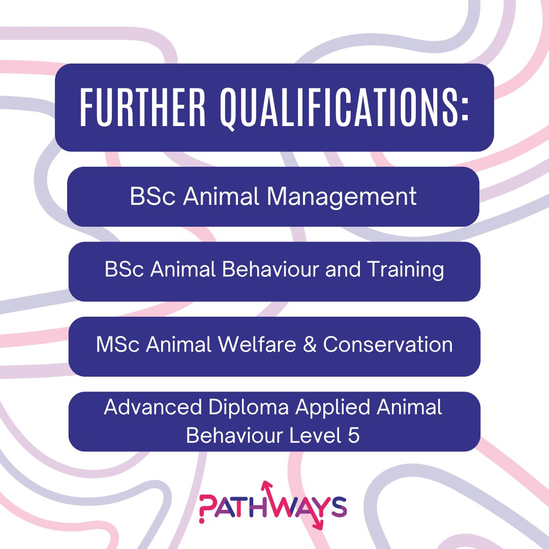 PathwaysEM's tweet image. Where could an HNC/HND in Animal Management take you?
