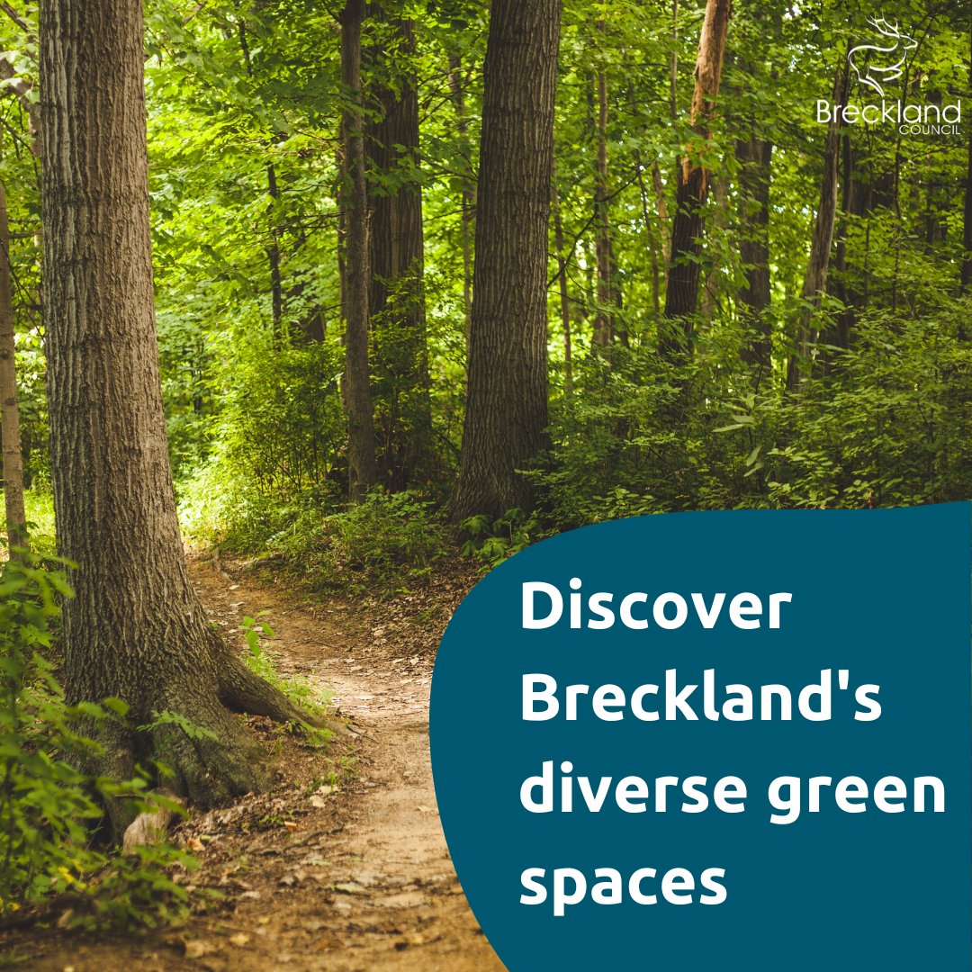 BreckCouncil's tweet image. Breckland has many green spaces, from the large Thetford forest to the many smaller local nature reserves. Get out and enjoy the natural beauty. 🌳🌼 #BrecklandNature #LocalParks