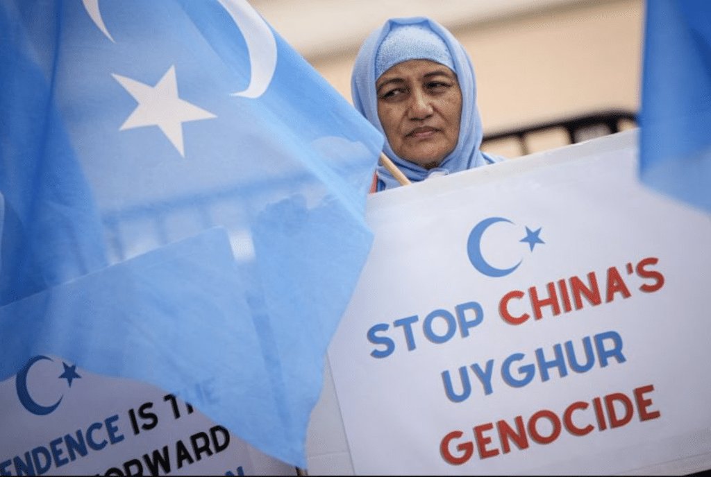 Unofficial67999's tweet photo. @AnasMallick @BBhuttoZardari So let me get this straight 
Modi bought Osama bin laden to abbotabad 
Modi asked China to persecute Uyghur Muslims 
Modi asked Pak to come in 26b$ Chinese debt 
Modi asked khwaja Asif to admit Pak sponsored terrorism on intl. media 
Modi has asked you to sell girls to China https://t.co/RE6T8lkqrP