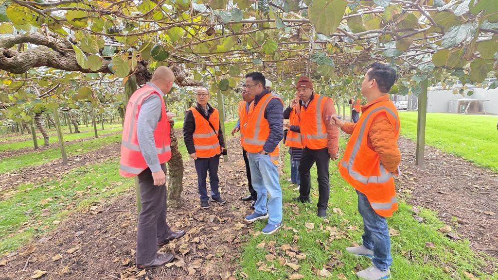 Explored scenic kiwi &amp; avocado gardens of Tepuke, New Zealand. Also had privilege of visiting world-class Seeka kiwi packaging facility. The visit offered deep insights into best practices in orchard management, post-harvest handling, &amp; international standards in fruit packaging.