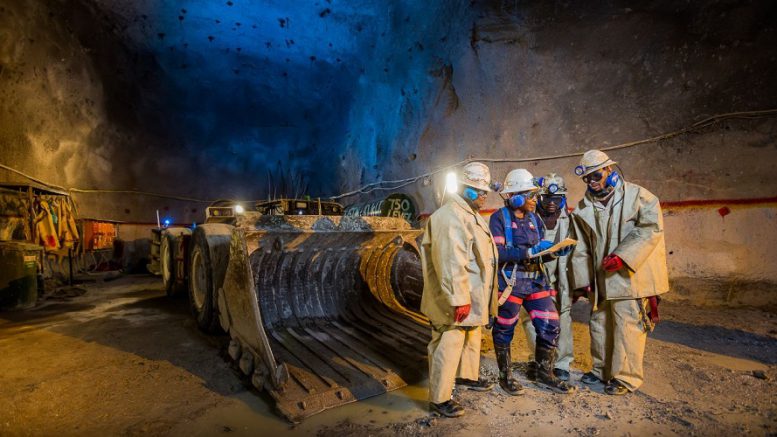 Avantgarde_Int. tweet media