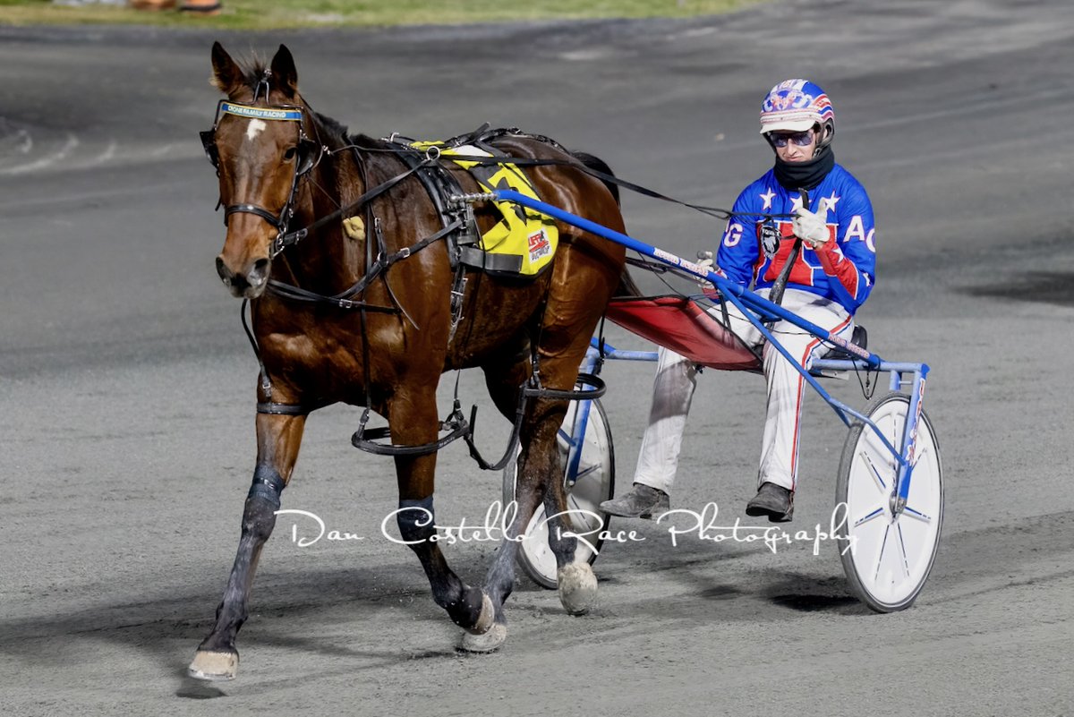 Dan Costello (@danracingwrap) on Twitter photo Tough win by Mullum Doc in race 4 <a href="/redcliffe_hrc/">Redcliffe Harness Racing Club</a> with <a href="/garrard_angus/">Angus Garrard</a> for trainer <a href="/crone_matthew/">Matthew Crone</a> Tough win by Mullum Doc in race 4 <a href="/redcliffe_hrc/">Redcliffe Harness Racing Club</a> with <a href="/garrard_angus/">Angus Garrard</a> for trainer <a href="/crone_matthew/">Matthew Crone</a>