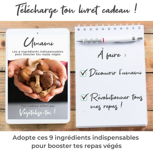 PIGUT Vegan Cuisine tweet media