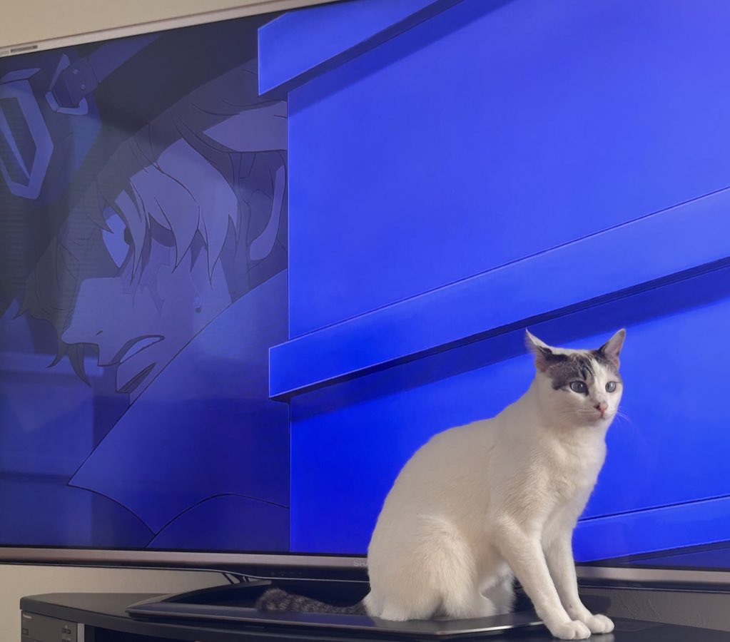 🎩くんにチラ見されるうちの子