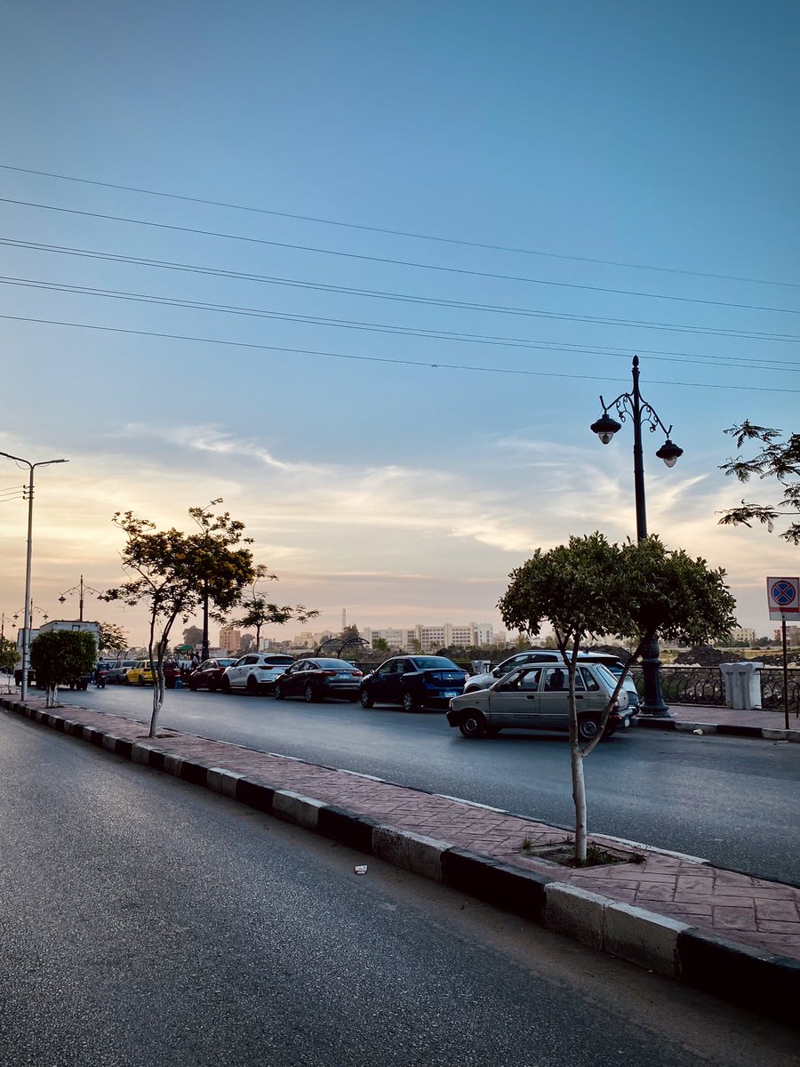 سَــاره 🇵🇸 (@saratarek504) on Twitter photo 