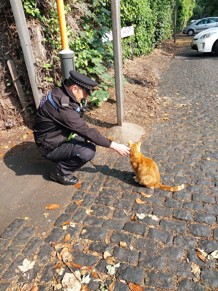 Safer Travel Police (@st_police) on Twitter photo George <a href="/TheStourbridge/">George The Stourbridge Junction Station Cat</a> Cat enjoying the sunshine and a stroke from PC Ed. George <a href="/TheStourbridge/">George The Stourbridge Junction Station Cat</a> Cat enjoying the sunshine and a stroke from PC Ed.