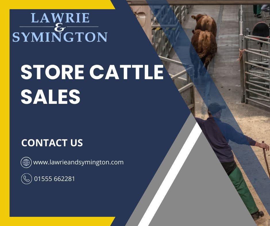 ❗️𝗡𝗢𝗧𝗜𝗖𝗘 𝗢𝗙 𝗖𝗛𝗔𝗡𝗚𝗘 𝗢𝗙 𝗗𝗔𝗧𝗘 ❗️
🔷  𝗧𝗨𝗘𝗦𝗗𝗔𝗬 𝟭𝟳𝗧𝗛 𝗝𝗨𝗡𝗘 𝗮𝘁 𝟭𝟬｡𝟯𝟬𝗮𝗺 🔷

Next Sale of Store Cattle will take place on TUESDAY 17TH JUNE at 10.30am and not as previously advertised

⚠️ Entries to be advertised by Friday 13th June at 3pm