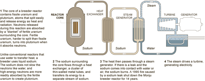 Fun fact.

There is enough actinide metal (thorium/uranium) on Earth to sustain breeder reactors, which produce more fissile material than they consume, leading to enough fuel to satisfy the world's energy needs at 1983 levels for 5-billion years.

Nuclear energy is renewable.