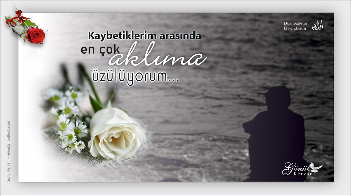 Kaybettiklerim arasında en çok aklıma üzülüyorum… 🕊️