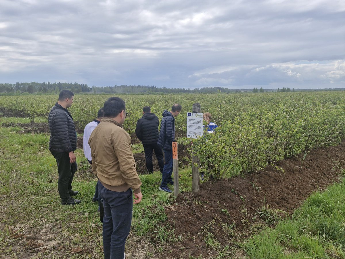 CFLA_gov_lv's tweet image. 🇺🇿🤝🇱🇻 Uzbekistānas Lauksaimniecības ministrijas delegācija viesojās Rīgā, lai apgūtu budžeta plānošanu un iekšējo auditu. 

Vizīti organizēja @CFLA_gov_lv sadarbībā ar ES finansēto ASK Facility. Ieskats Latvijas pieredzē un lauku attīstībā! 🌱💼 

#LATDEV #sadarbība
