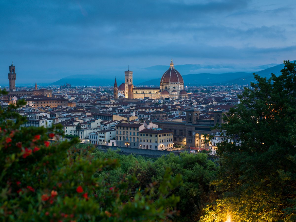 Hasselblad tweet media