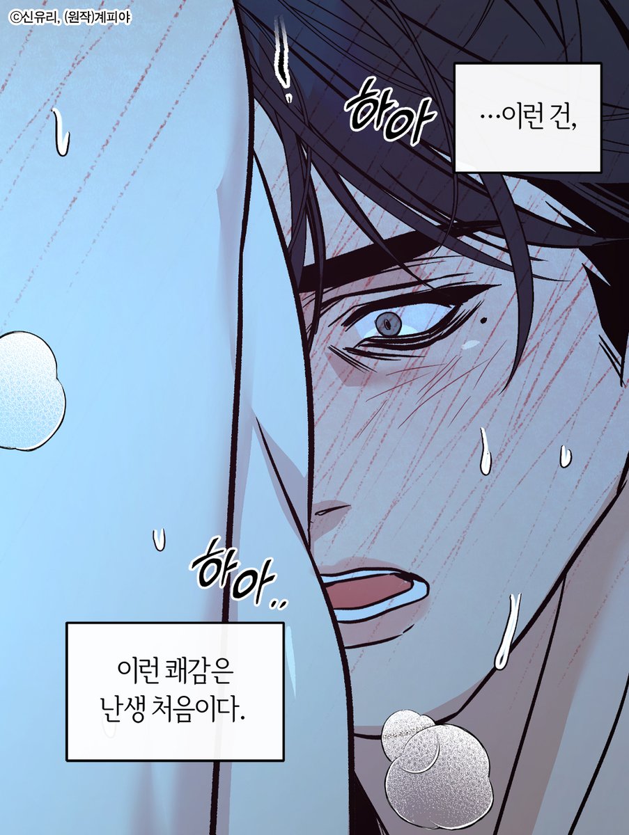 쑥맥인 줄 알고 무시했다가
완전히 함락당했다지?🤓

《사하》 #기억상실 외전 완결!
🖤50% 할인된 특가세트로 만나보기🖤
🔗bit.ly/43sOtkl

#BL #미남공 #계략공 #미인수 #헌신수