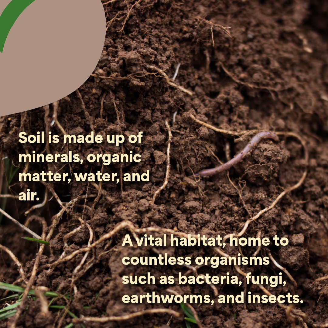 LEAF Education tweet media