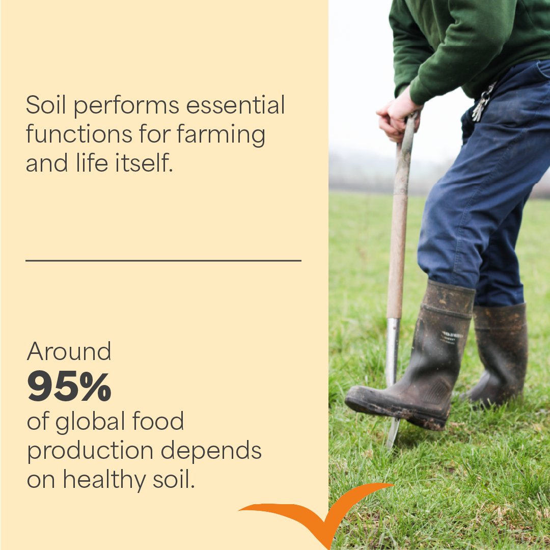 LEAF Education tweet media