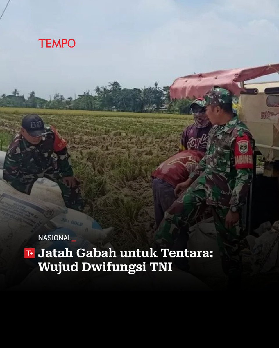 Tentara ditengarai makin masuk ke ranah sipil.

Petani di Indramayu, Jawa Barat, harus melapor kepada tentara jika ingin menjual gabah dan padi. Padahal sebelumnya mereka bisa langsung menjual ke Perusahaan Umum Bulog.

#tempodotco