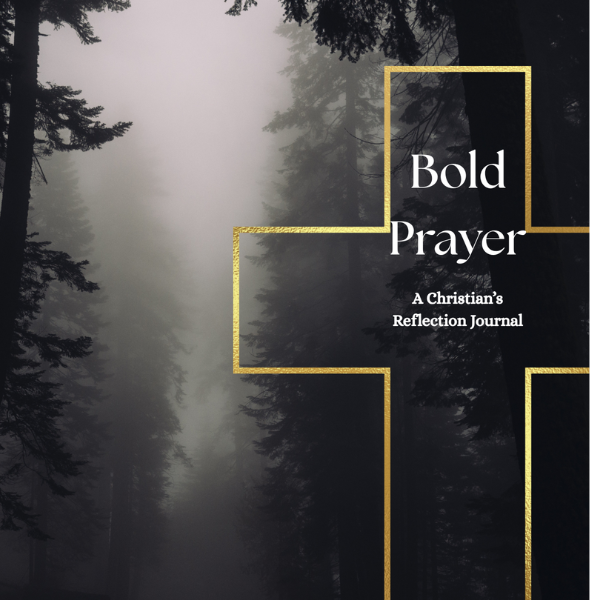 clareaugstine's tweet photo. Buy Bold Prayer: 120-Page Christian Reflection Journal for Men on @Gumroad https://t.co/W7VpkGlge6 https://t.co/oh5wsKjLsd
