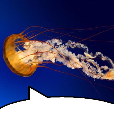 iiiirk's tweet image. 