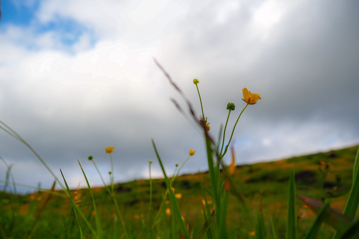 とおいむかしむかしのはなし