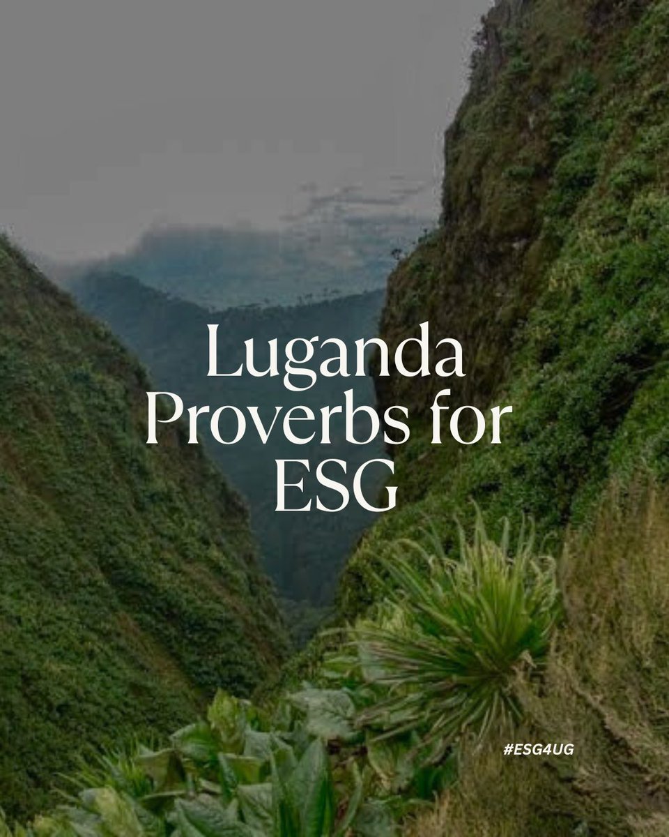 peanutpixel's tweet photo. Can #ESG be African?
First of all — it already is. You just didn’t hear it in your grandmother’s accent.
We just called it proverbs and moved on. In fact these 3 Luganda proverbs have been discussed on a COP panel.

#ESG4UG #ProverbsNotPowerPoints #WisdomForESG https://t.co/bpcWGUEY51