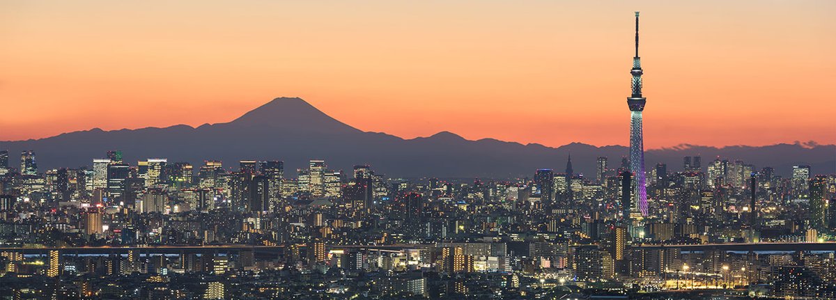 Experience Tokyo with a high class escort: elegant hotels, kaiseki dining, and exclusive clubs in a journey of Japanese refinement. felinesescort.com/japan/tokyo 🇯🇵😍