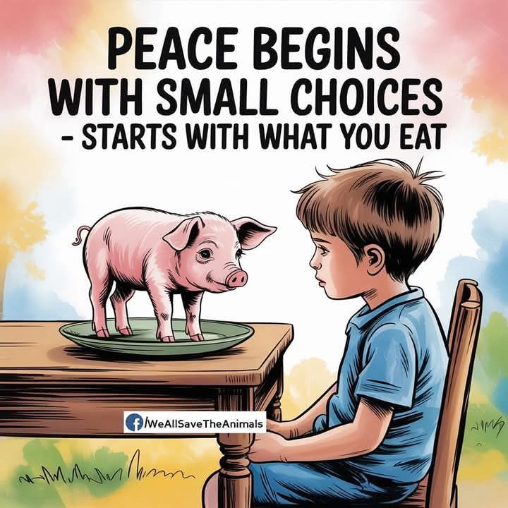 Dervilla(v) (@derviemoo) on Twitter photo 