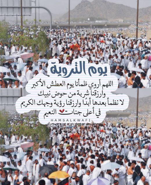 ميمي العتيبي tweet media