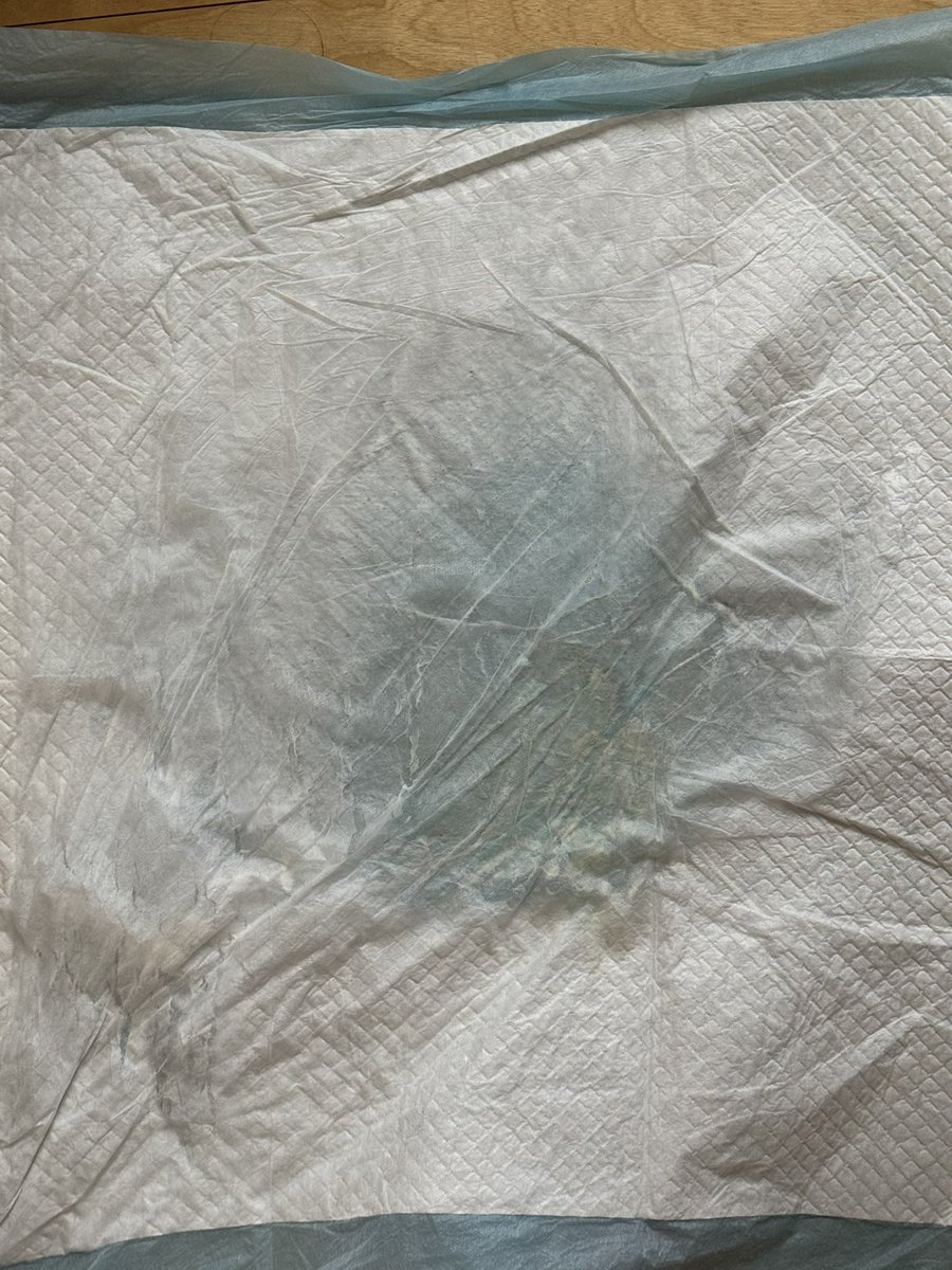 早上两小时精疲力尽
#les #女同性恋 #拉拉 #lesbian