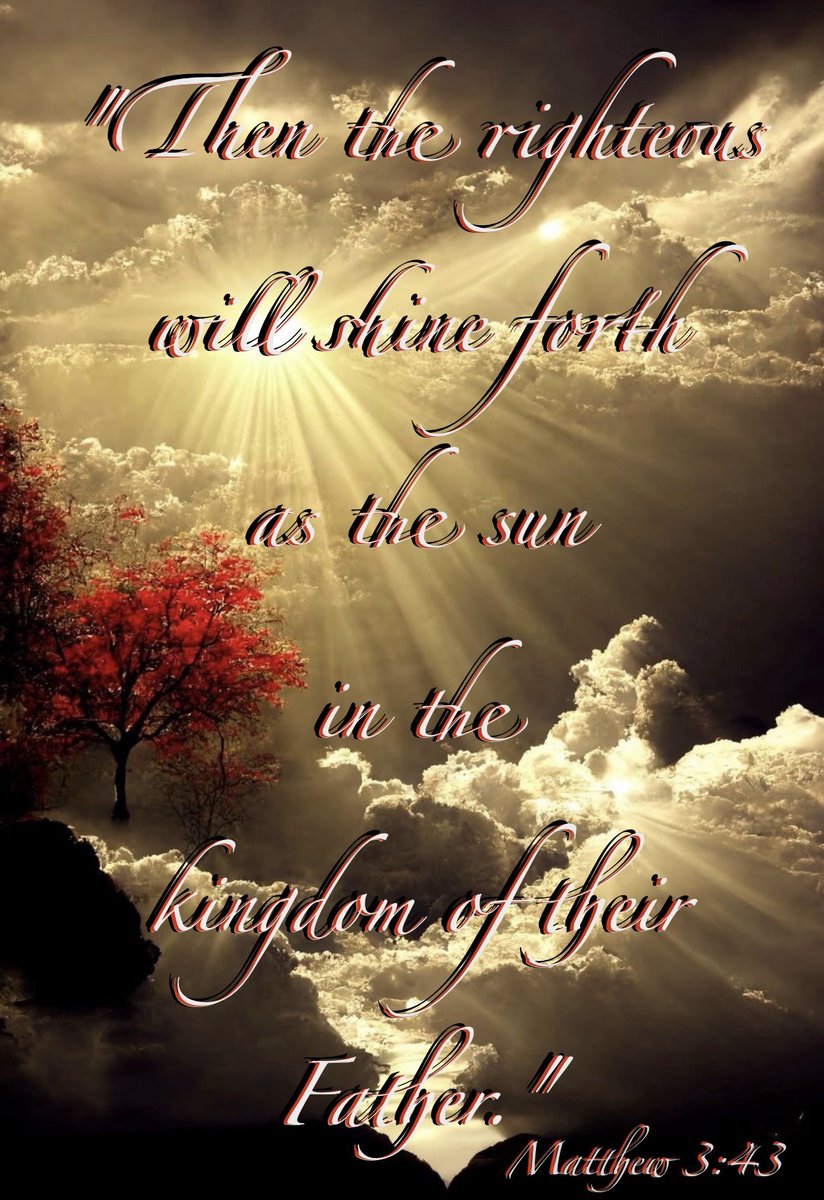 ✨🌹🕊️Good Morning!♥️✨