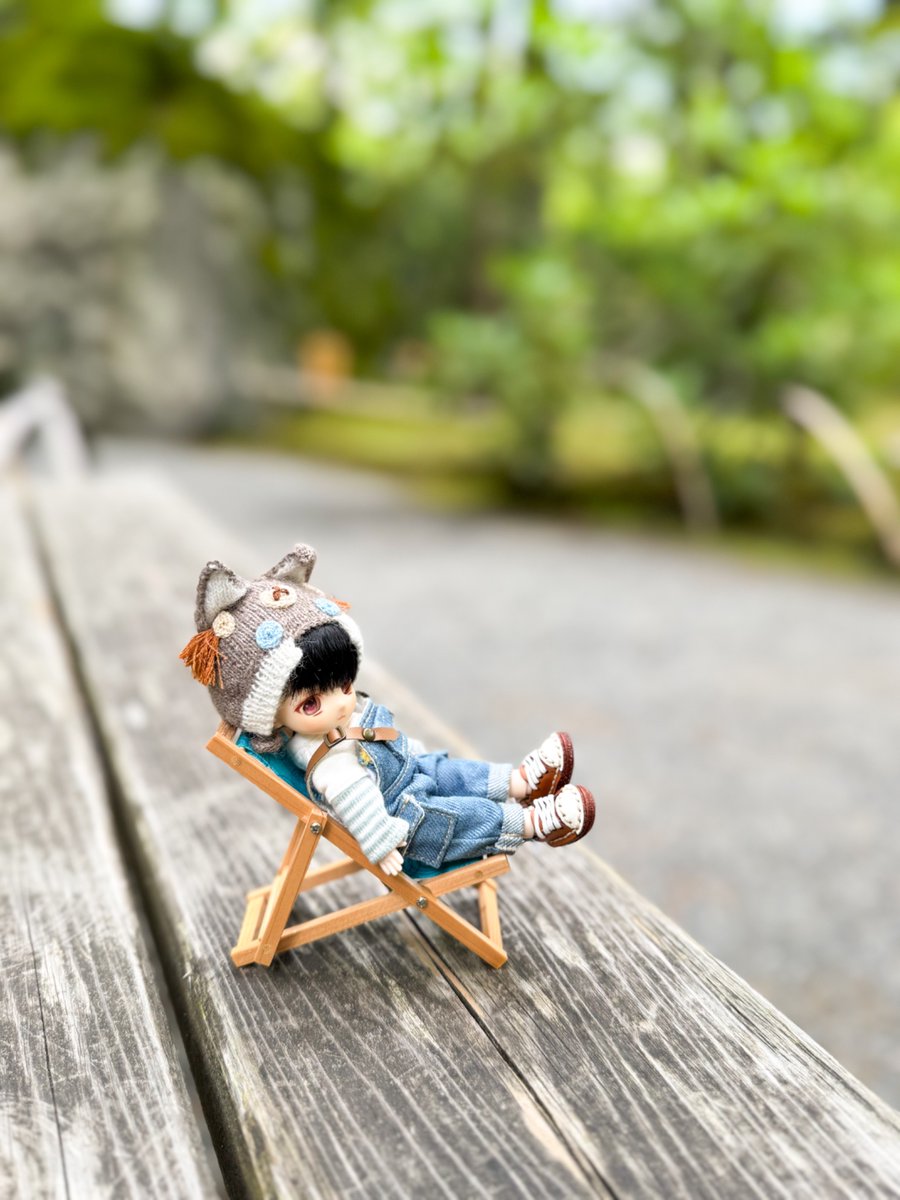 お庭見てきた　#きゃとっ子