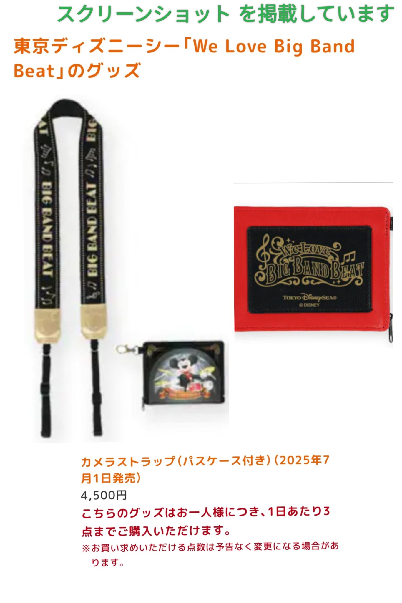 ディズニーシー　ビッグバンドビート　カメラストラップ　ファンダフルディズニー カメラストラップ（パスケース付き）！ファンダフル・ディズニー