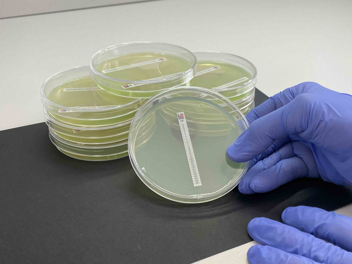 Una nueva investigación identifica un mecanismo molecular que interviene en la pérdida de la resistencia bacteriana al antibiótico ciprofloxacino.

📰Lee aquí más información: bit.ly/4mMl2AN
DOI: bit.ly/43uUtbT
