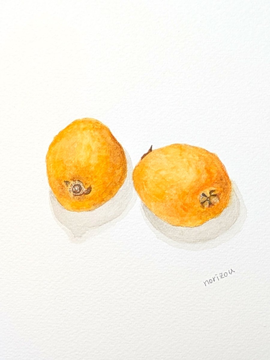 『房州びわ』旨し！描いたよ！

#透明水彩 #水彩イラスト #イラストレーター #おいしいもの #おやつ #枇杷 #びわ #房州びわ