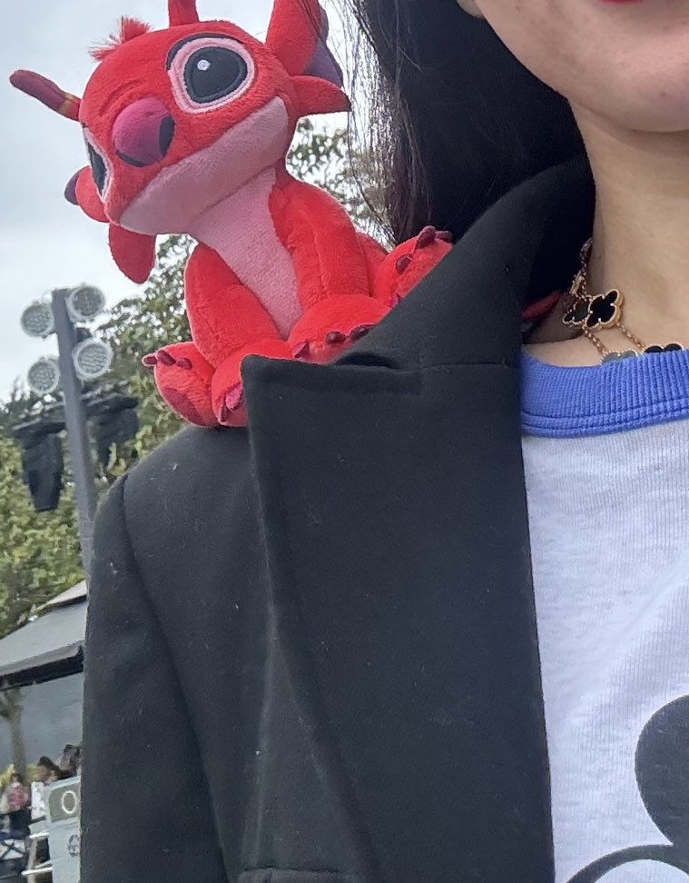 disastersarah's tweet image. A day to remember at DisneyLand 

📍Paris